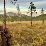 Minna, Brand New Luxury In Ylläs, Lapland Loma-asunnot