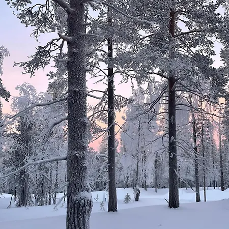 Minna, Brand New Luxury In Yllaes, Lapland בית נופש