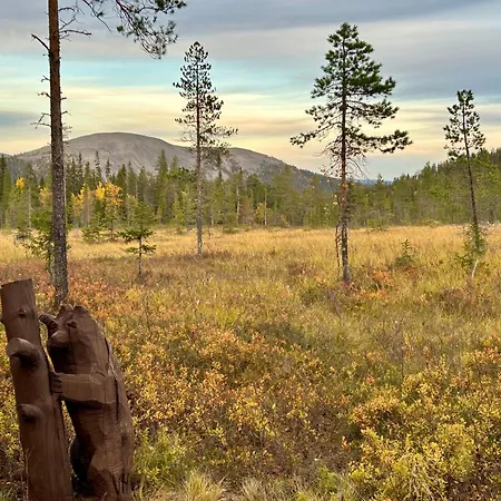 Minna, Brand New Luxury In Yllaes, Lapland Hébergement de vacances