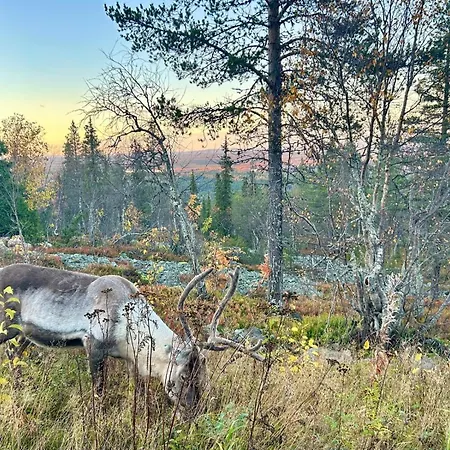 Minna, Brand New Luxury In Yllaes, Lapland