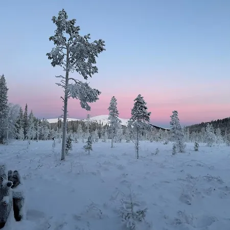 Minna, Brand New Luxury In Yllaes, Lapland *
