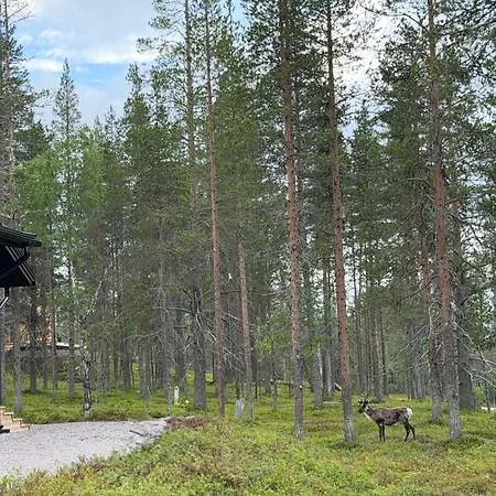 Minna, Brand New Luxury In Yllaes, Lapland *